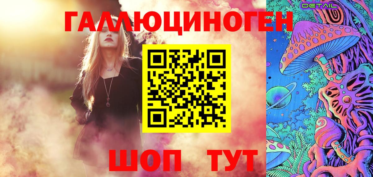 Галлюциногенные грибы Psilocybine cubensis Нововоронеж