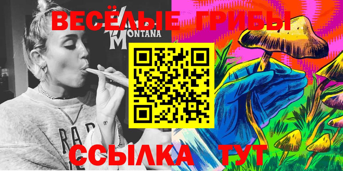 Галлюциногенные грибы прущие грибы  Вход с VPN  Нововоронеж 